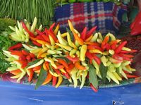 colourful chillies